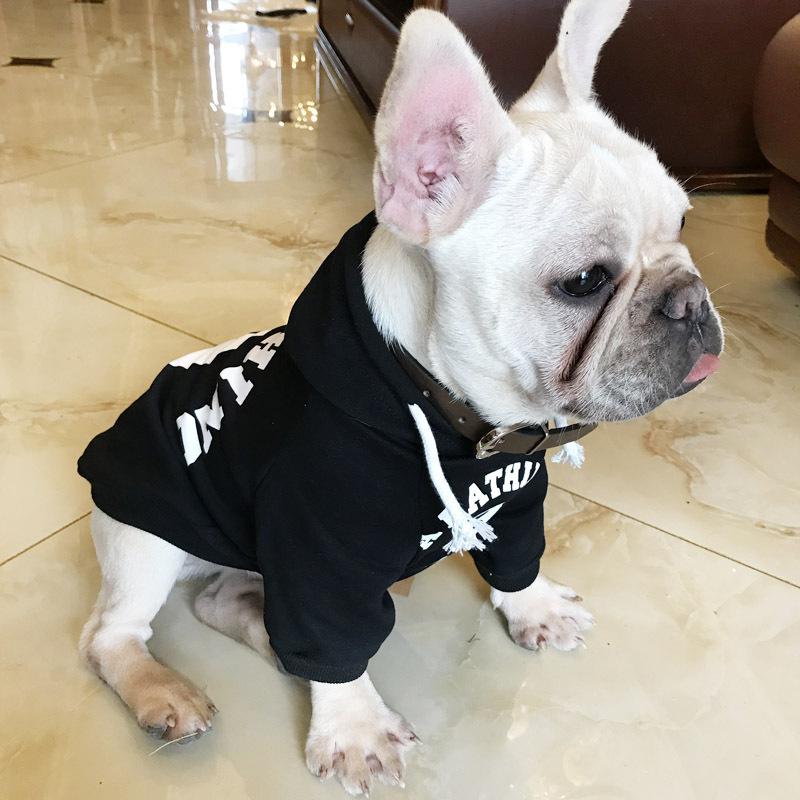 The Bathing Pup Hoodie