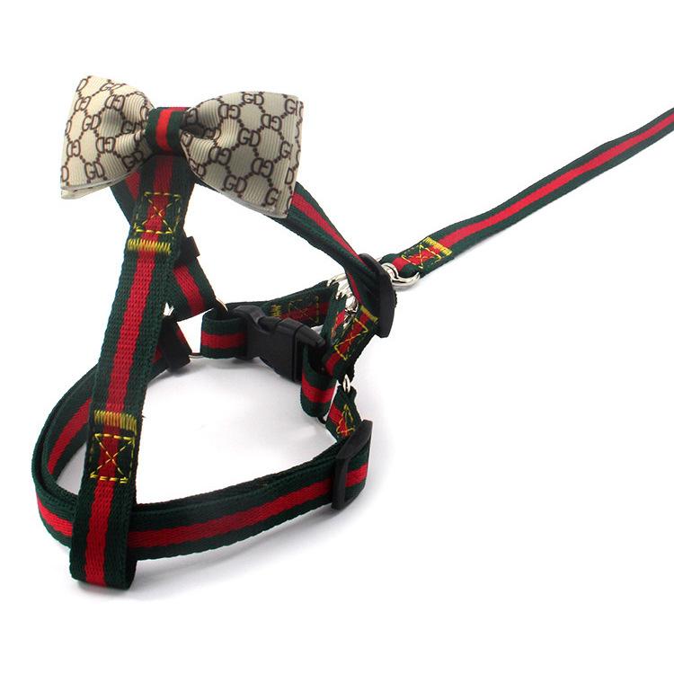 Pucci Harness & Leash Set