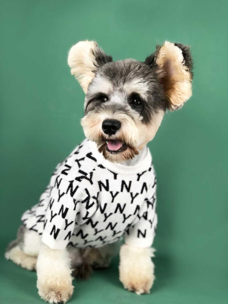 dog luxury shirt Sweater pet clothes coat popular logo famous brand