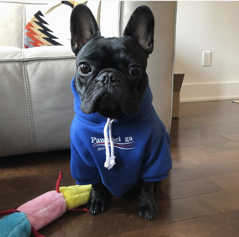 Pawlenciaga Hoodie