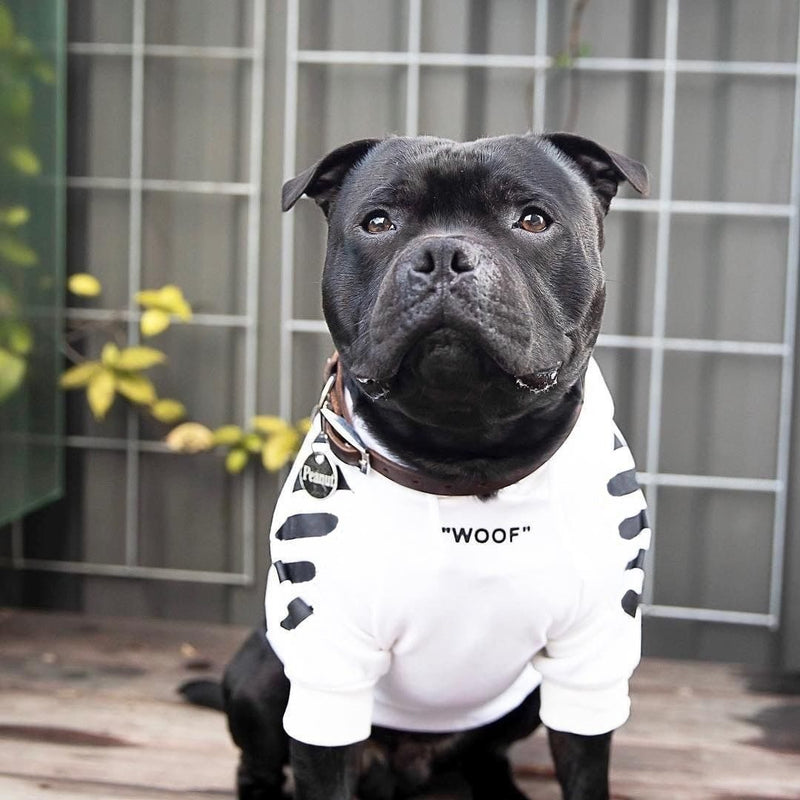 OFF WOOF Flex Hoodie