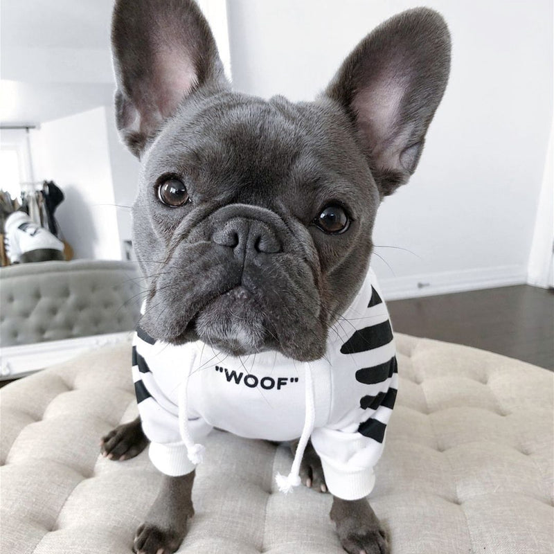 OFF WOOF Flex Hoodie