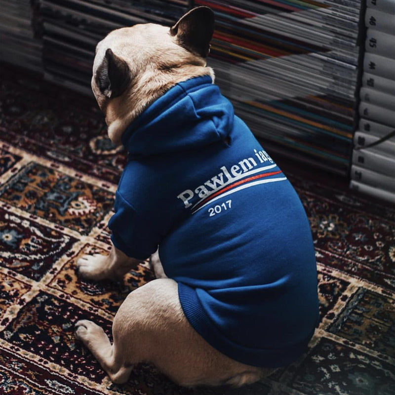 Pawlenciaga Hoodie