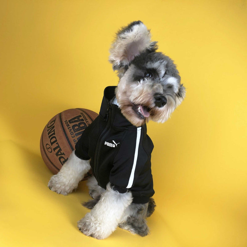 luxury dog sports suit Dog cat fashion brand sports jacket Branded clothes