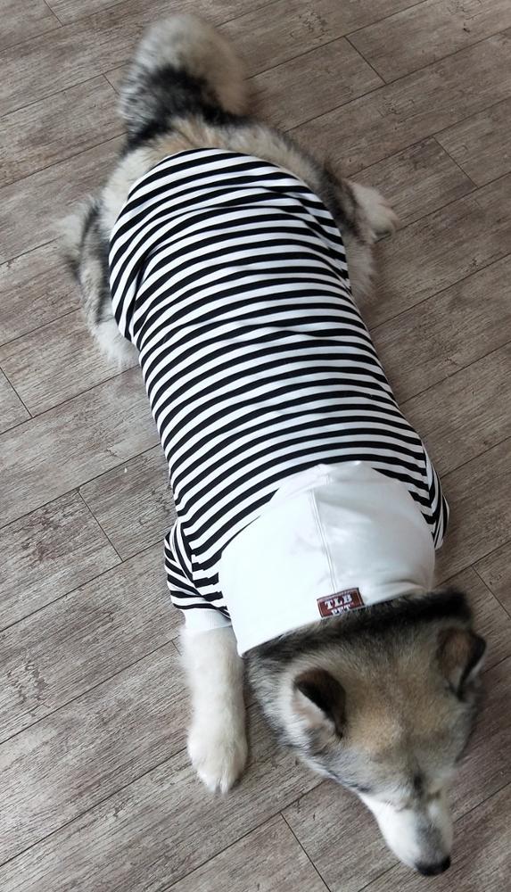 Pet Hoodie Cat Match Owner and Dog Parent-child Dog Pet Clothes black and white stripe