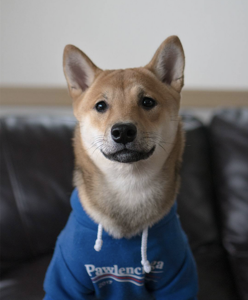 Pawlenciaga Hoodie