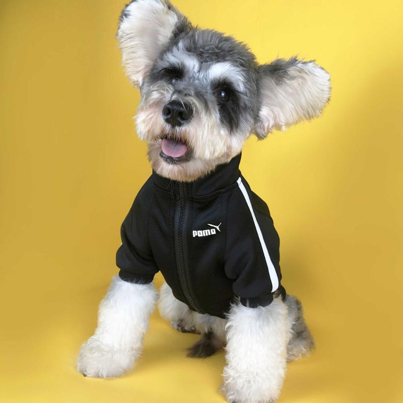 dog zipper jacket