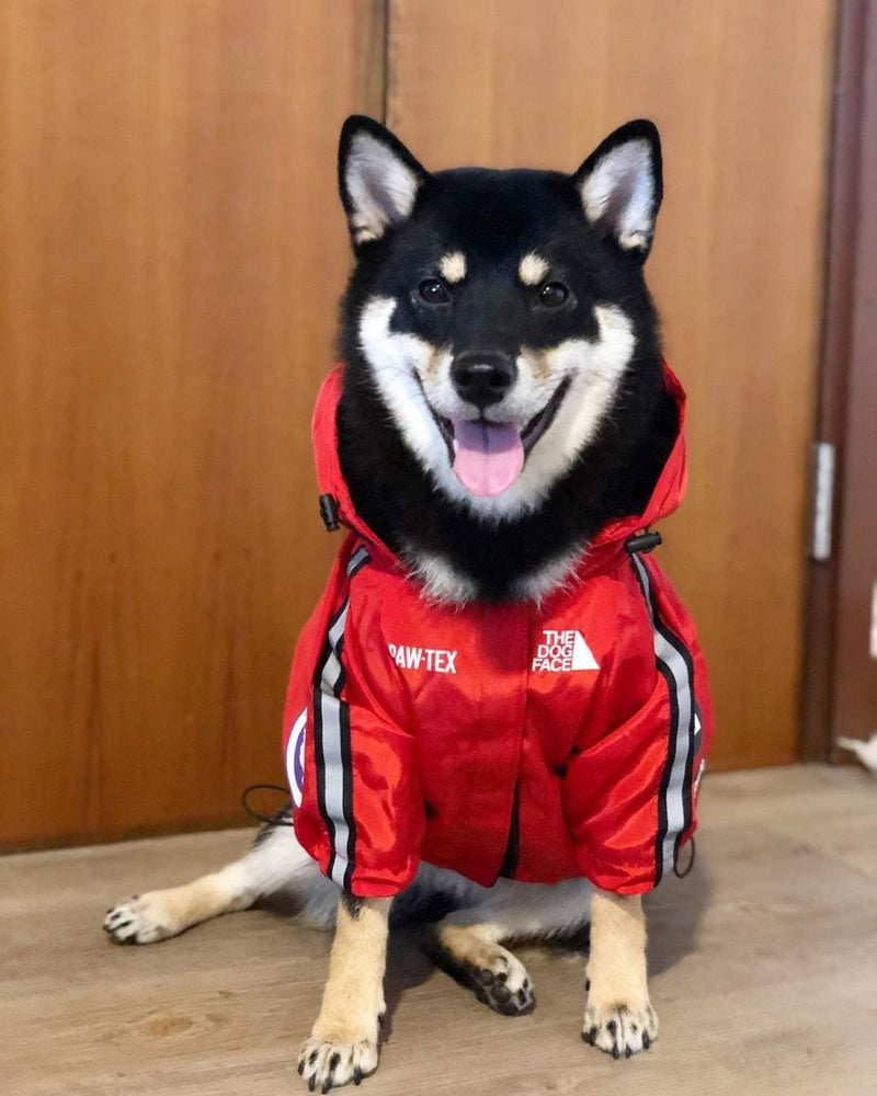 The Dog Face Windbreaker