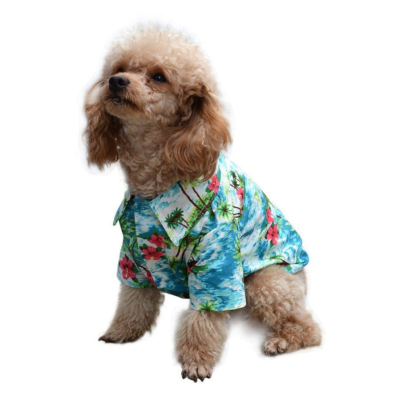 Hawaiian T Shirt