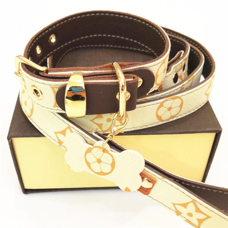 PV Treat Collar and Leash Set