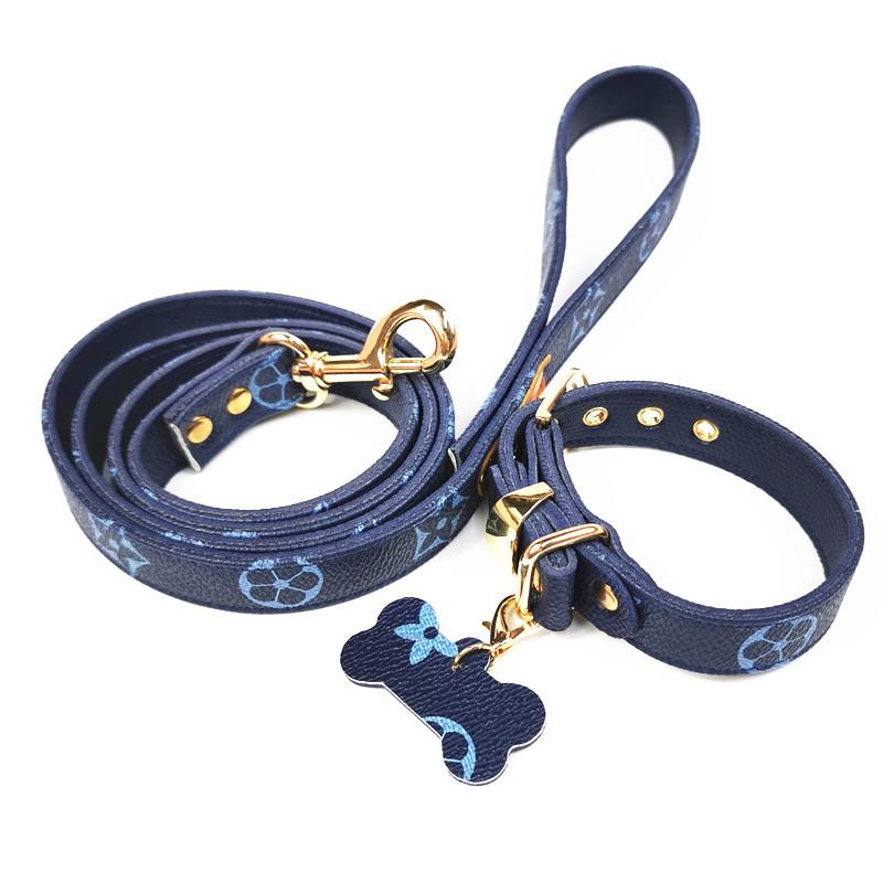 PV Treat Collar and Leash Set