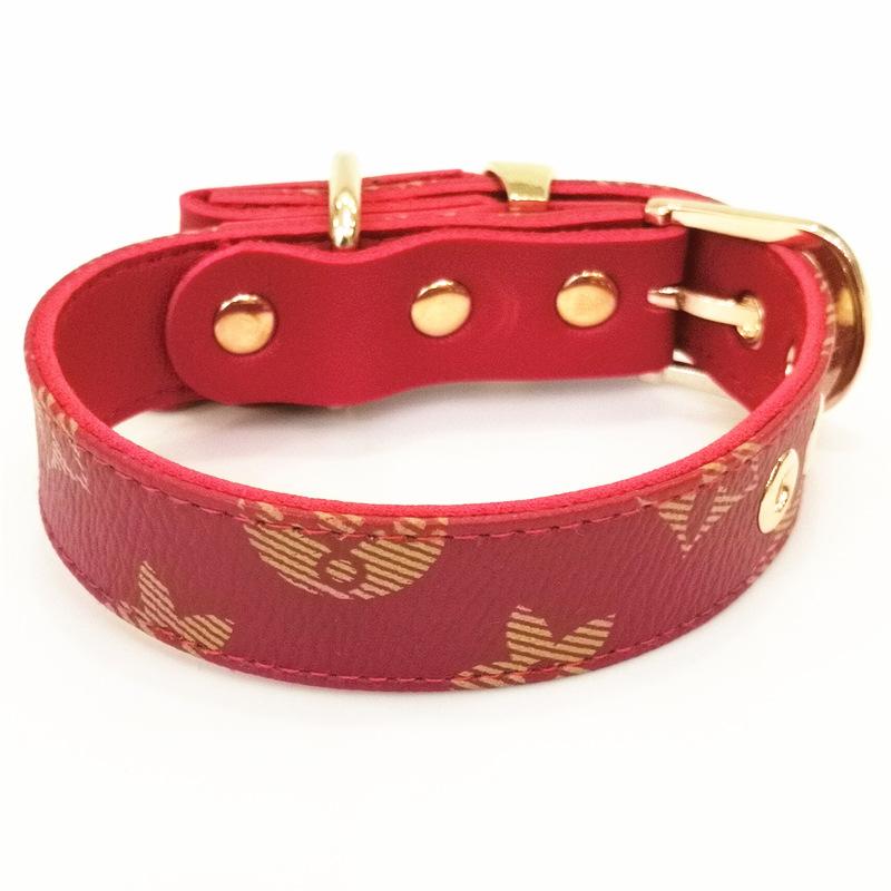 PV Treat Collar and Leash Set