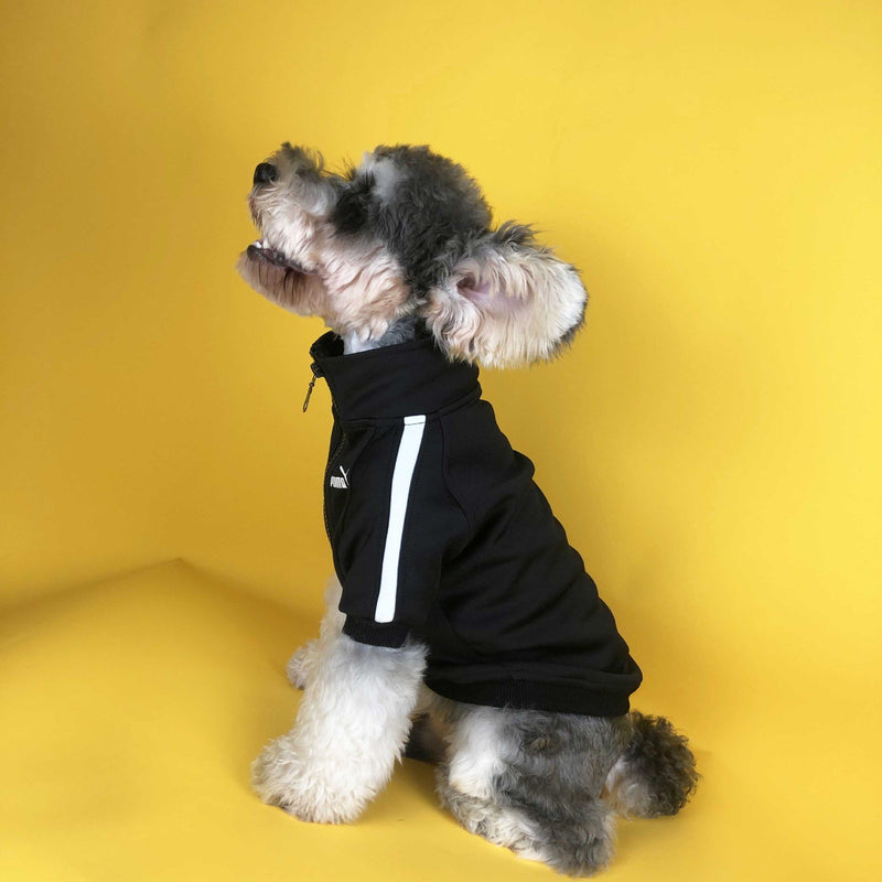 luxury dog sports suit Dog cat fashion brand sports jacket Branded clothes