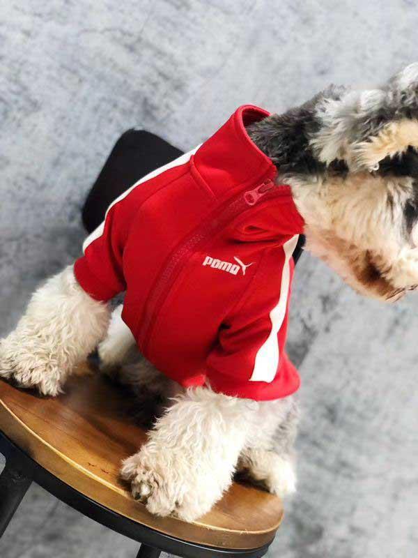 luxury dog sports suit Dog cat fashion brand sports jacket Branded clothes