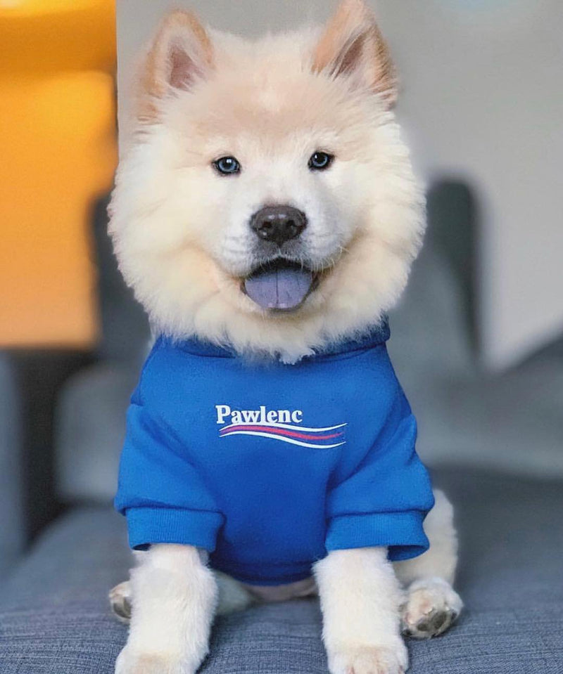 Pawlenciaga Hoodie