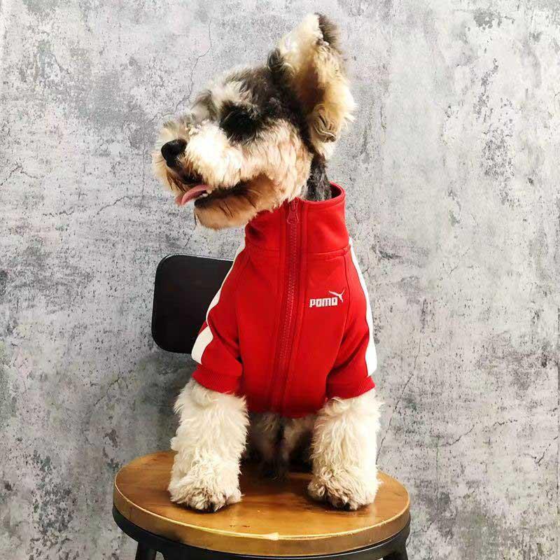 luxury dog sports suit Dog cat fashion brand sports jacket Branded clothes