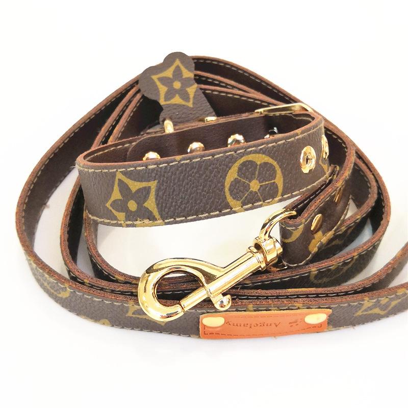 PV Treat Collar and Leash Set