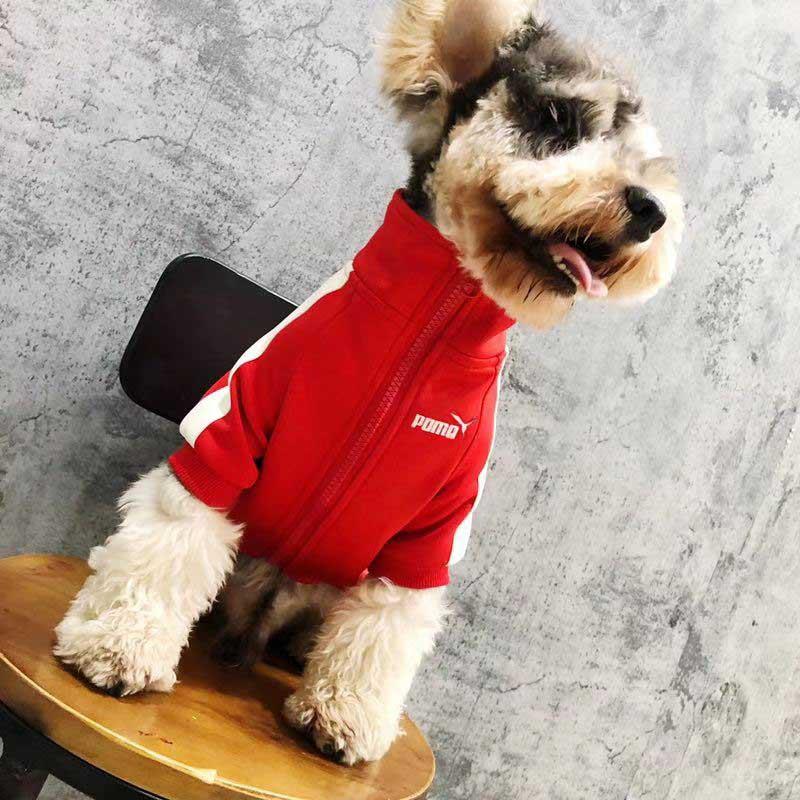 luxury dog sports suit Dog cat fashion brand sports jacket Branded clothes