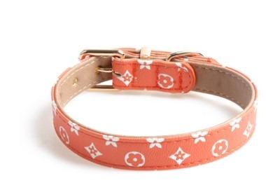 The Chewy Vuitton Collar